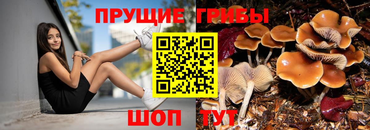 Псилоцибиновые грибы MAGIC MUSHROOMS Карасук