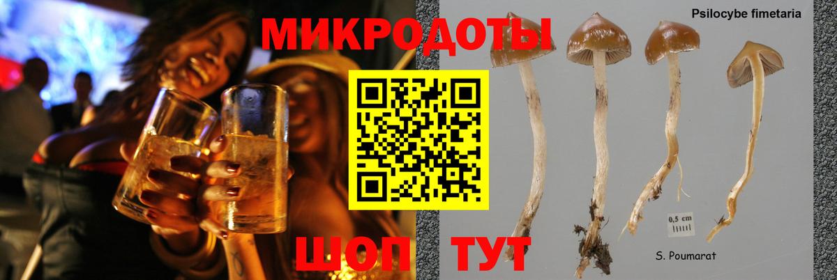 Галлюциногенные грибы Magic Shrooms  Вход с VPN  Карасук 